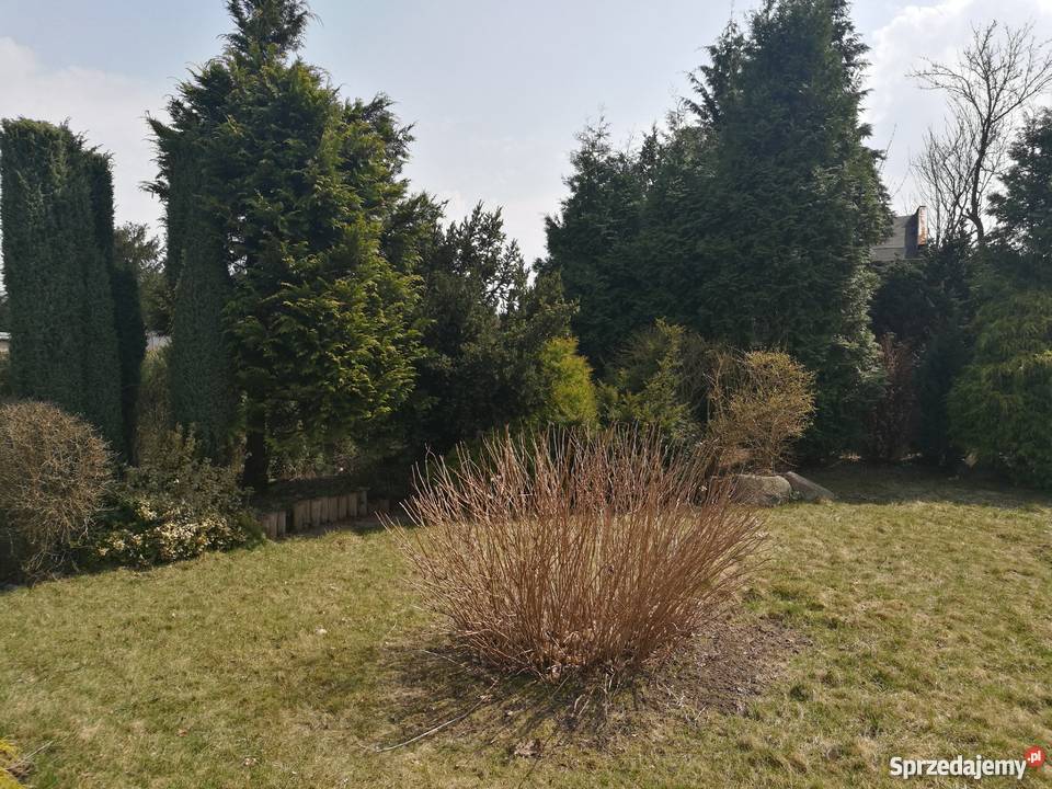 Działkę pracowniczą sprzedam Nieruchomości łódzkie Łódź