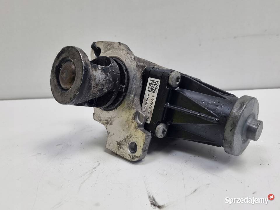 Renault Kangoo III 15 DCI ZAWÓR EGR spalin Rudka