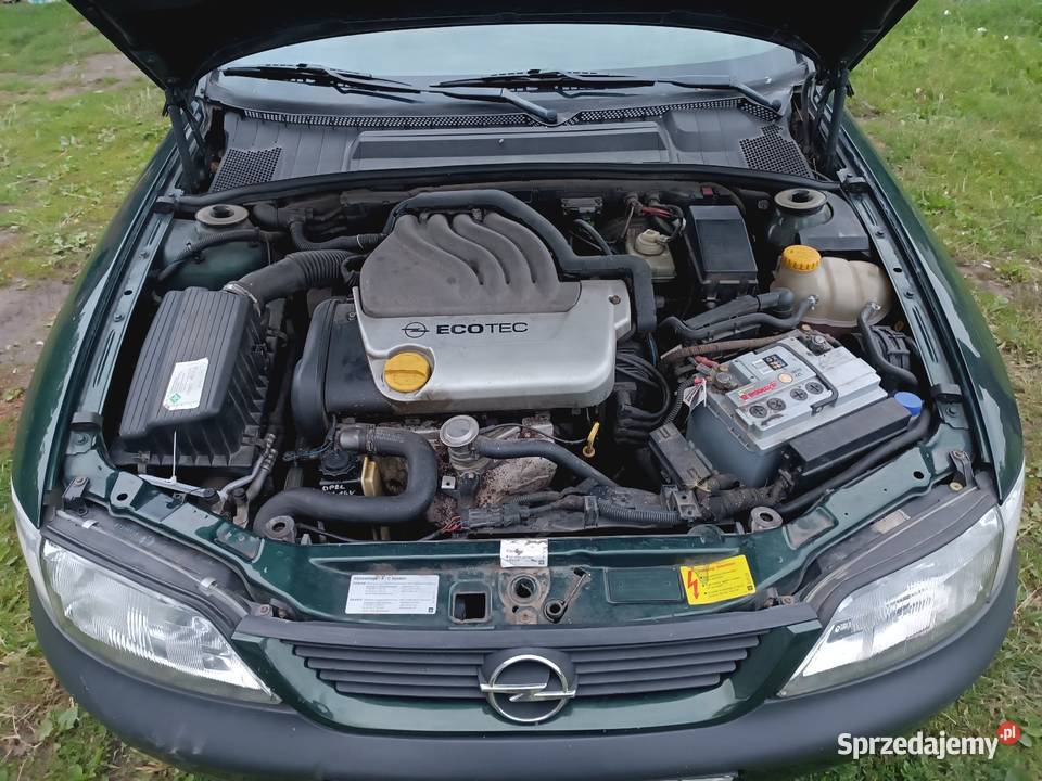 Opel Vectra B 16 Benzyna Sedan / Limuzyna lubelskie Annopol sprzedam