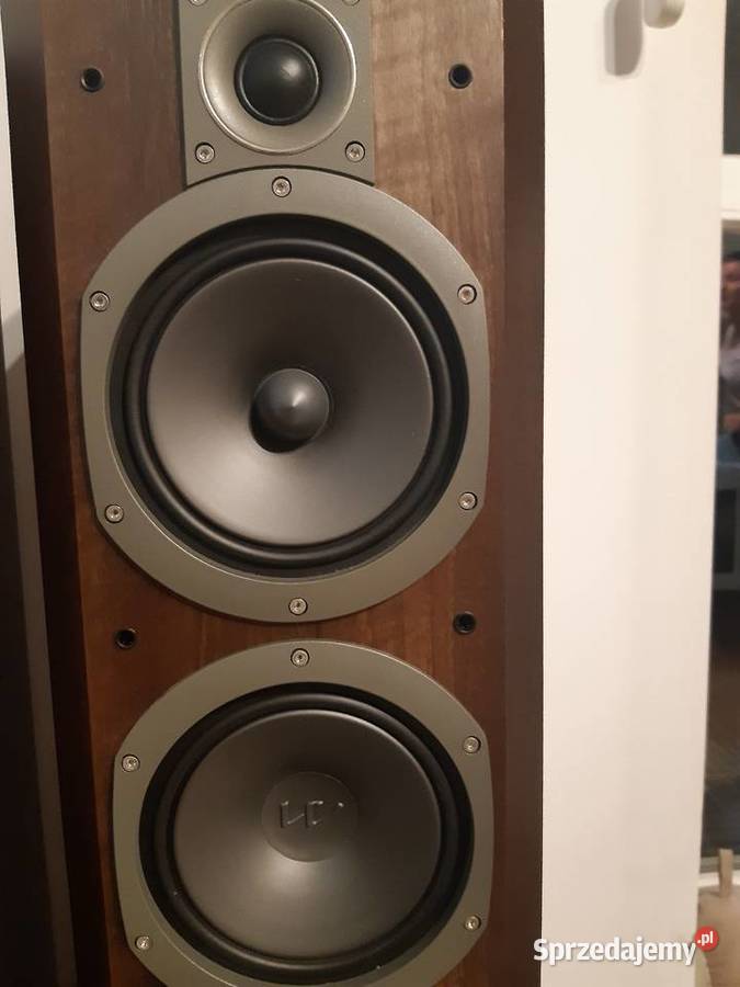 Kolimny podłogowe Wharfedale Vardus 300 Wielbark