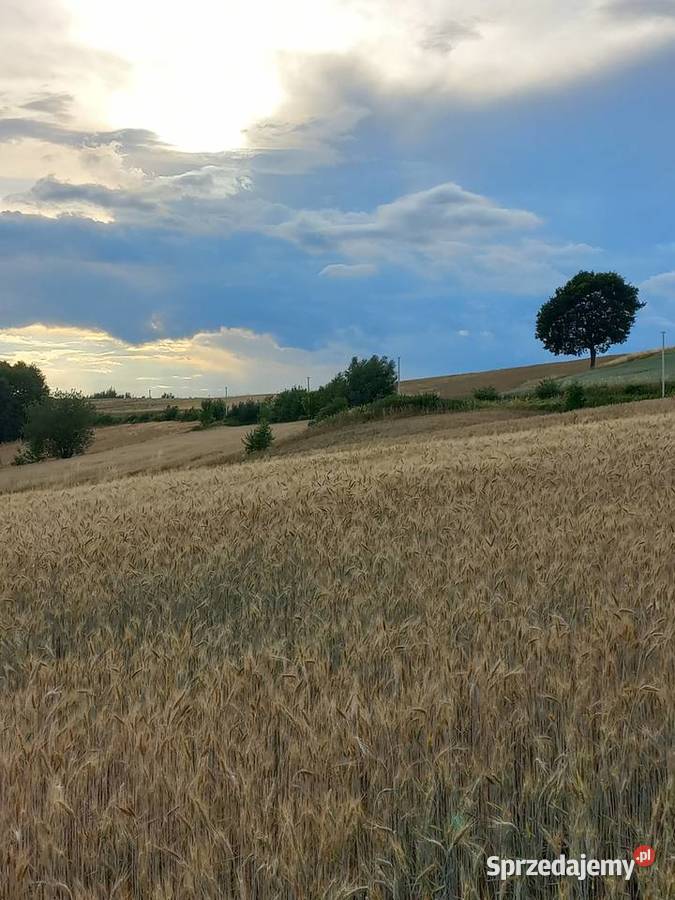 Działka budowlana Brzeziny podkarpackie Bielsko-Biała sprzedam