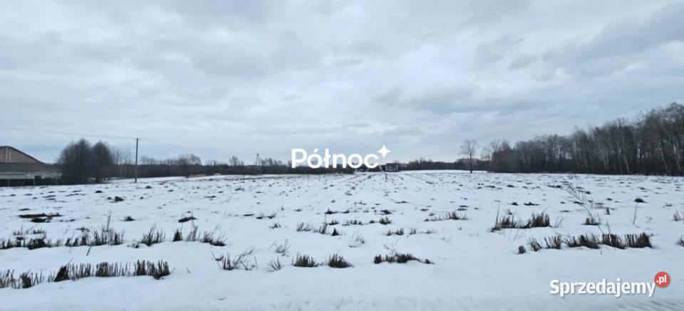 Działka budowlana w Ostrowie Lubelskim