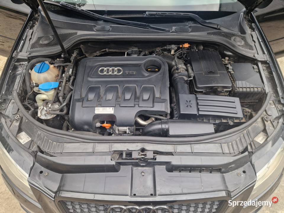 Audi A3 20TDI Common Rail Nowy Sącz