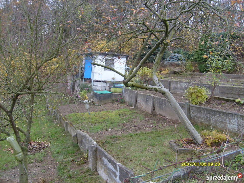 Sprzedam działkę na ROD Skarbówek sprzedam