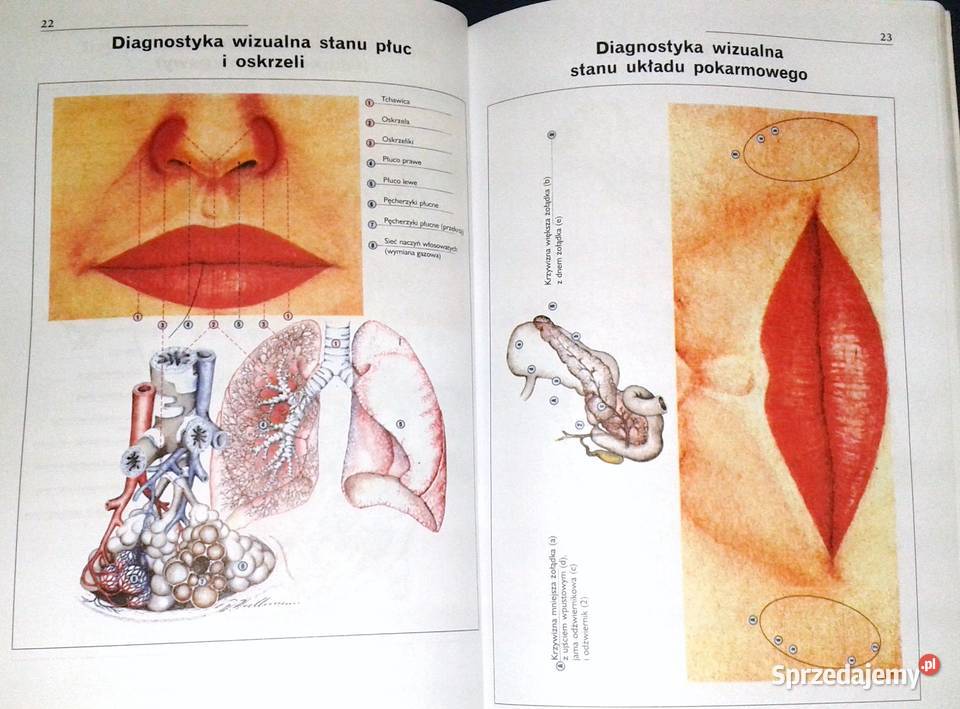 Twarz zwierciadłem usposobienia i zdrowia lubelskie Chełm