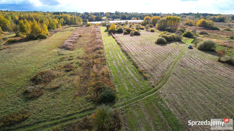 sprzedaży działki 2894 metry Korczów prąd