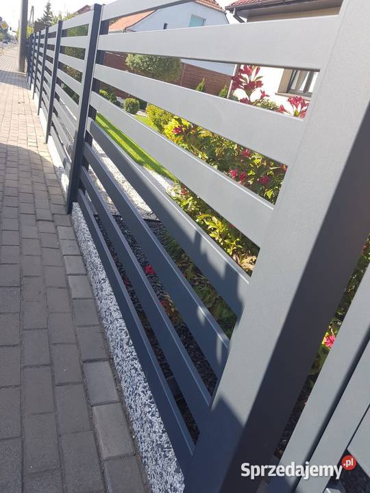 Przęsło h 120 MASTER 88 bramy ogrodzenia Ostrów Ostrów Wielkopolski sprzedam