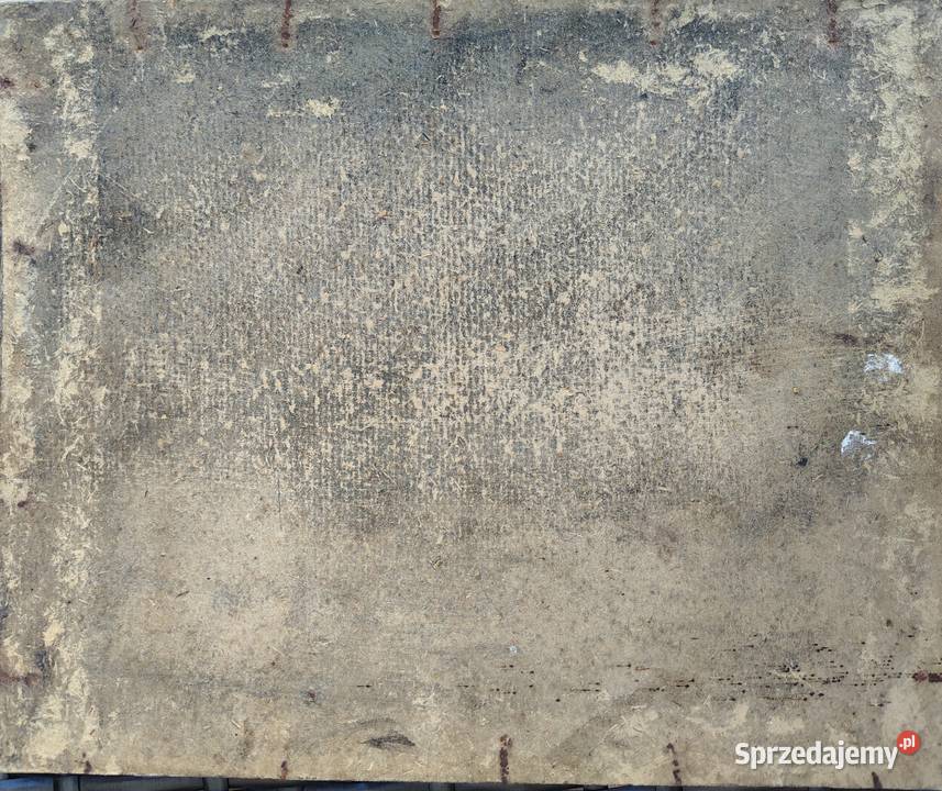 Obraz olejny Góry antyk Kartuzy sprzedam