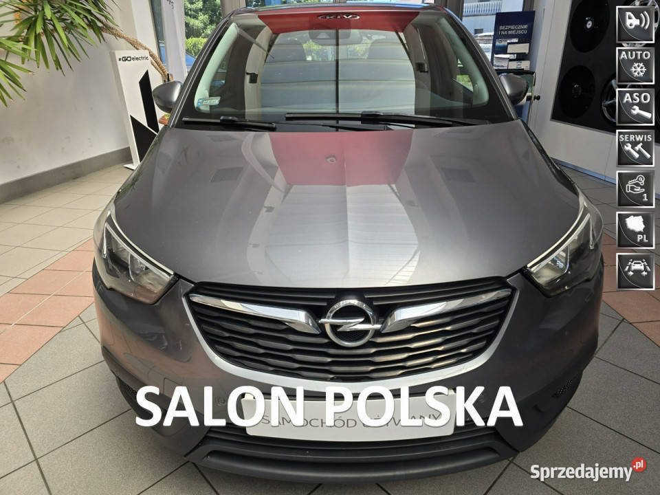 Opel Crossland X Pierwszy wł Krajowy Serwisowany Tarnów