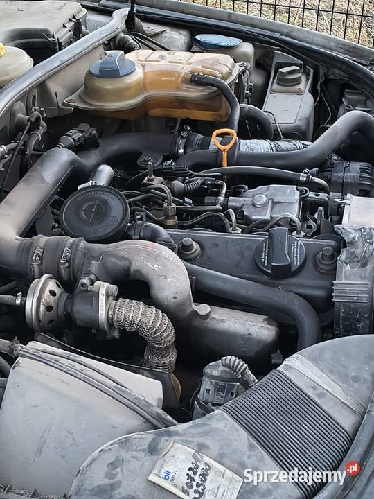 Silnik audi a4 pomorskie Gołębiewko