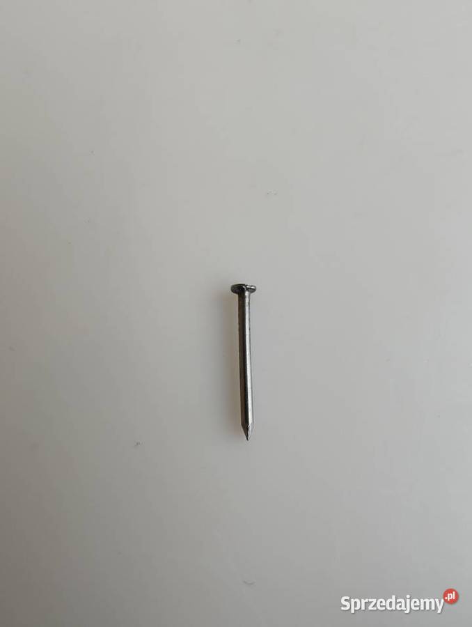 Gwoździe gwoździki 20 x 12 mm sztuk 12 Olecko sprzedam