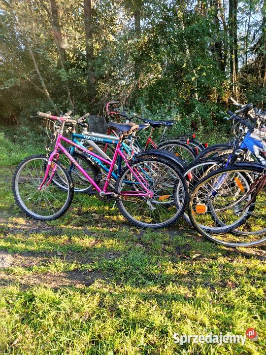 Rowery Pozostałe Dulcza Wielka