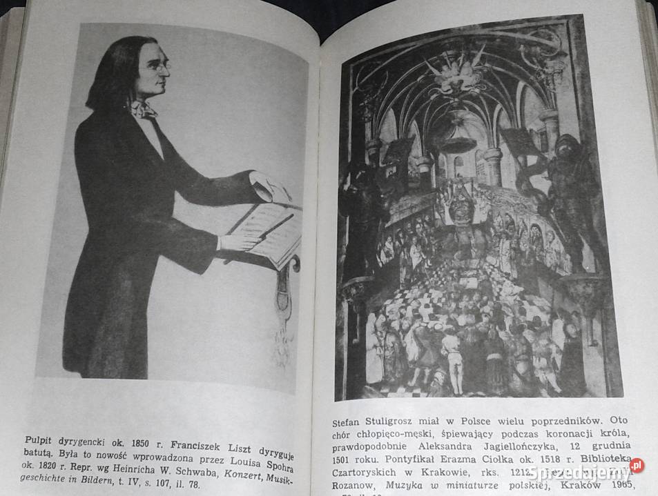 Przeboje mistrzów Janusz Cegiełła Chełm