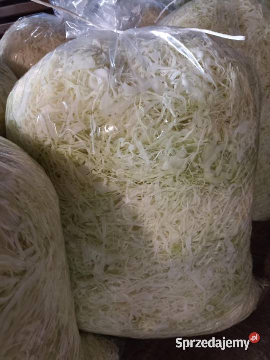 Kapusta szatkowanakiszona naturalnie