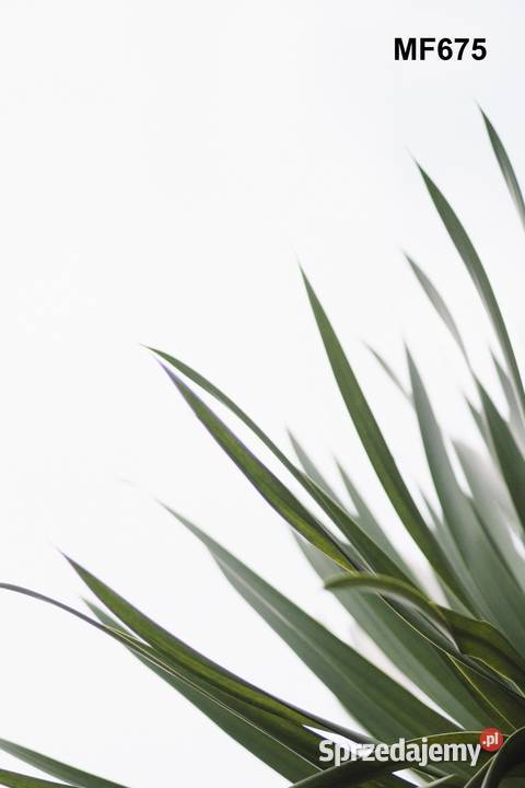 Fella sm 911 310 Instrukcja katalog obsługi wielkopolskie Szamotuły