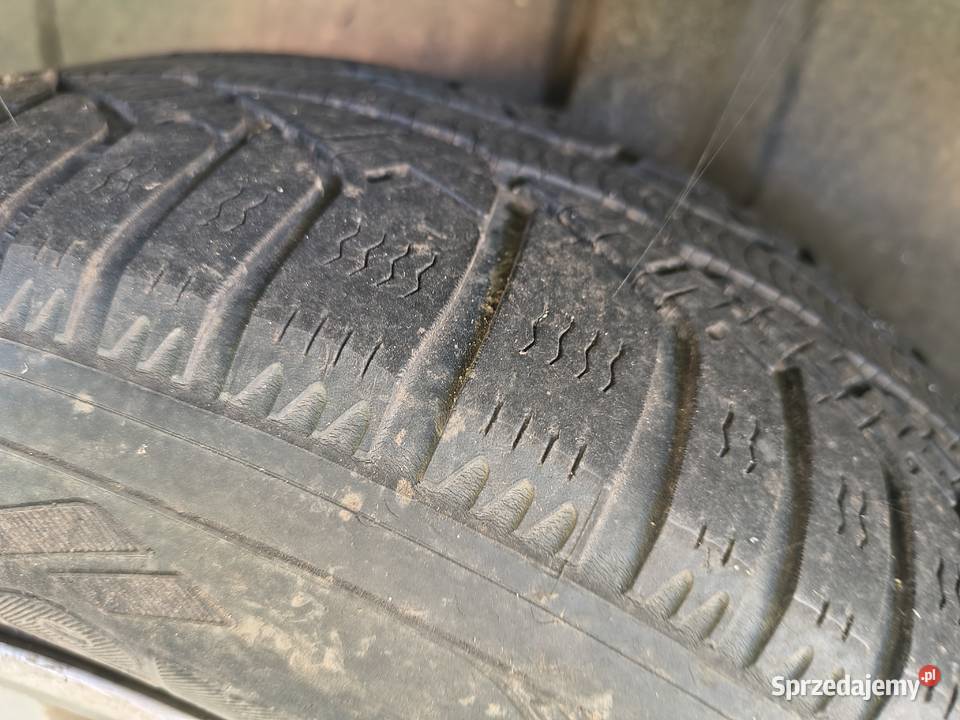 W całości albo na części golf 4 19 tdi Lubsko