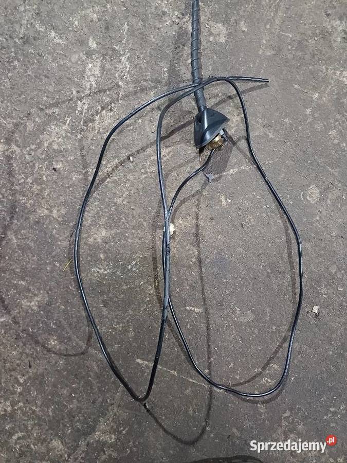 Kia Carnival lll antena wielkopolskie Nowy Tomyśl sprzedam