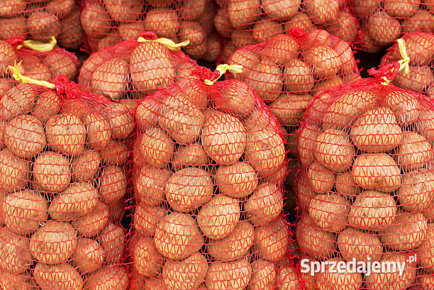 Sprzedam ziemniaki Red Sonia Jadalne Sadzeniaki Baranów Sandomierski