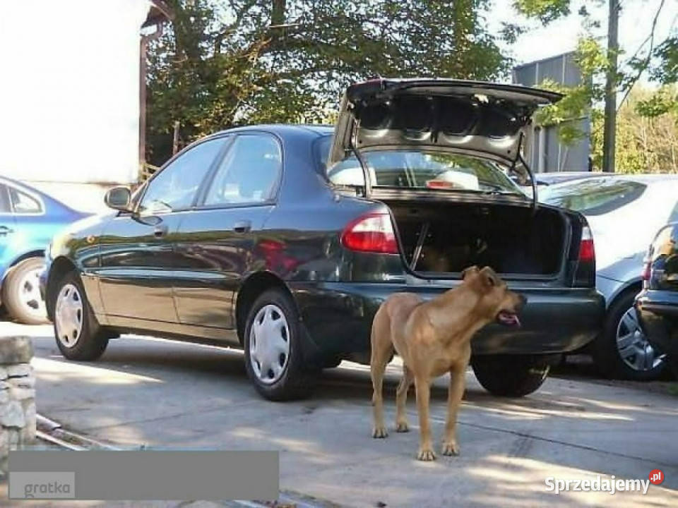 Daewoo Lanos BEZWYPADKOWY serwisowany 65kmStan nieuszkodzony Skawina