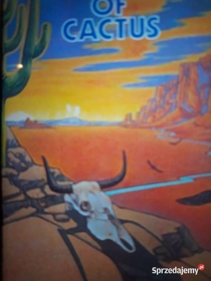 Archiwum hard rocka CACTUS BAND Son of Cactus podkarpackie sprzedam