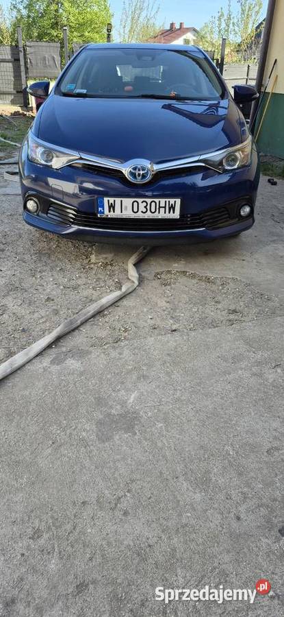 Toyota Auris 18 Hybrid 2018 Jachranka