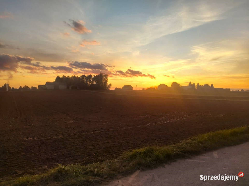 Działka Palikije Drugie 1800m2 sprzedam