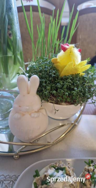 Świeca Sojowa Króliczek Wielkanocny aromaty Radlin