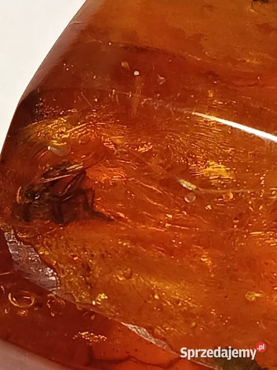 Bursztyn inkluzje Białystok