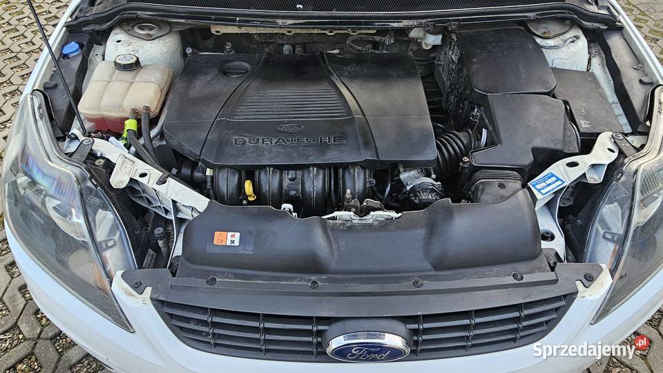 Ford Focus 18 FF Gold X 2009r zadbany Focus