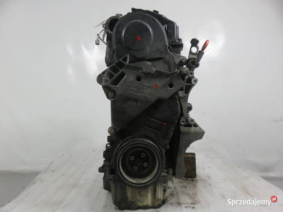 SILNIK VW CADDY III 19 TDI 105 BLS 038130073AG