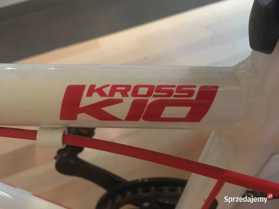 Rower Kross Hexagon Mini Warszawa