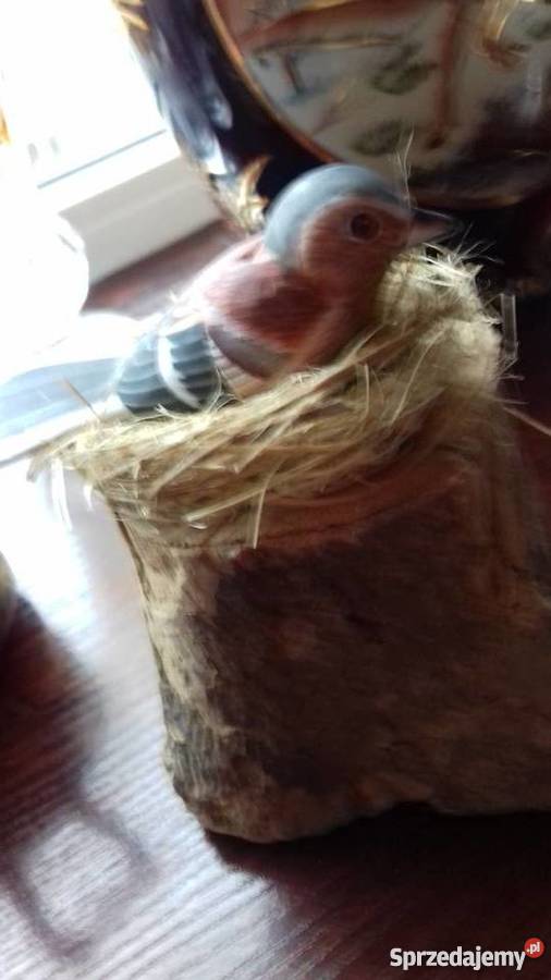 blondyna z gitara i inne Warszawa