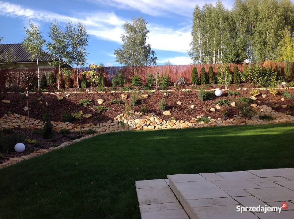 Dzikówka ogrodowa kamień na skalniak skarpy Wielgomłyny