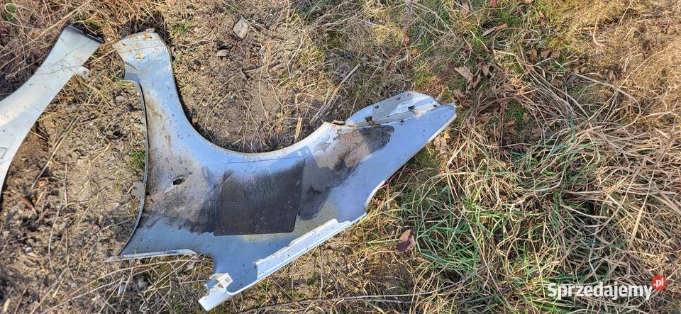 Błotnik Prawy Citroen Picasso małopolskie