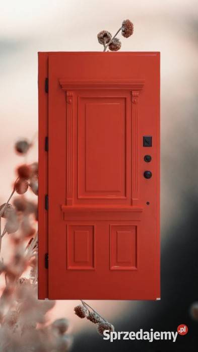 Drzwi Zewnętrzne Wejściowe Drewniane ANGIELSKIE Drzwi sprzedam