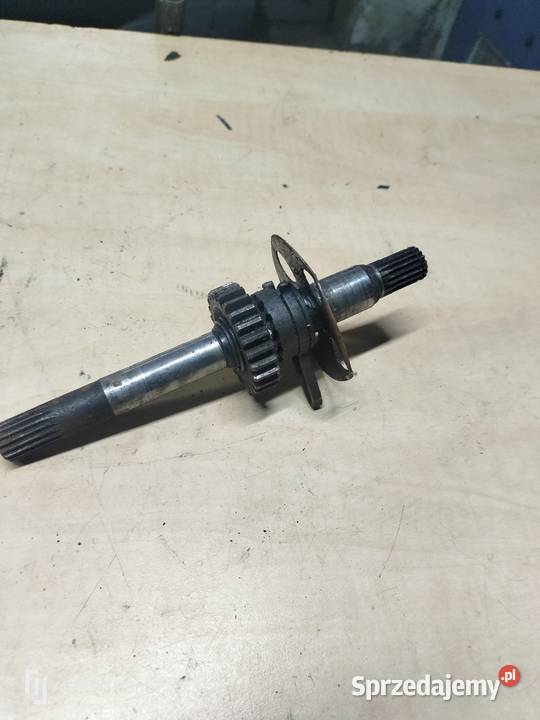 Wałek startera Komar jajko łódzkie Łubno