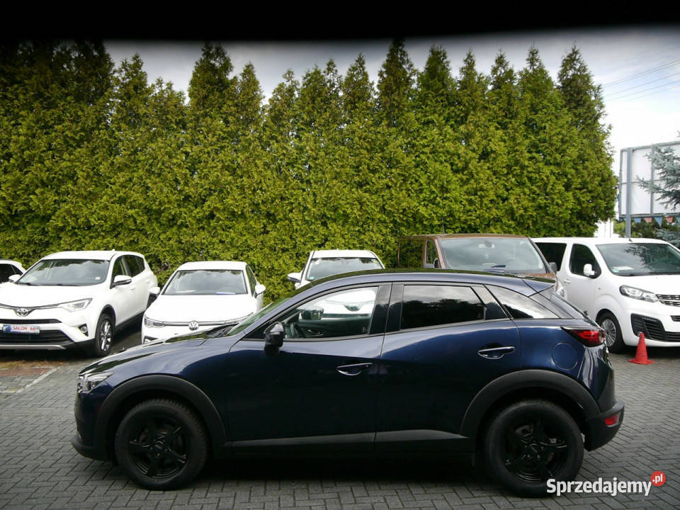 Mazda CX3 20 Navi Automat Stan b bezwypadkowy z tempomat CX-3 śląskie
