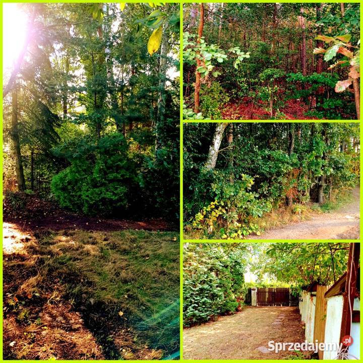 Dwa Domy na Wsi Las Leśniczówka Chynów
