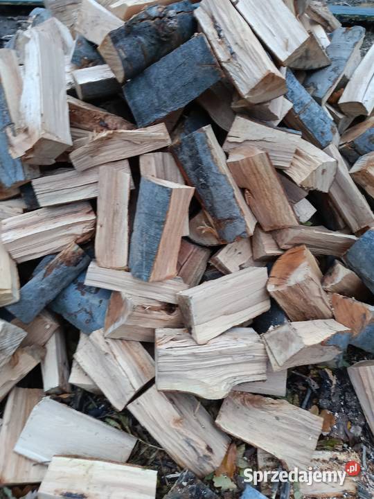 Drewno bukowe na palecie podkarpackie Bobrowa