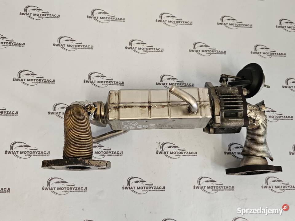 Mazda CX7 22 CITD 4x4 10r R2AA 175 chłodniczka Recyrkulacja spalin EGR Motoryzacja sprzedam
