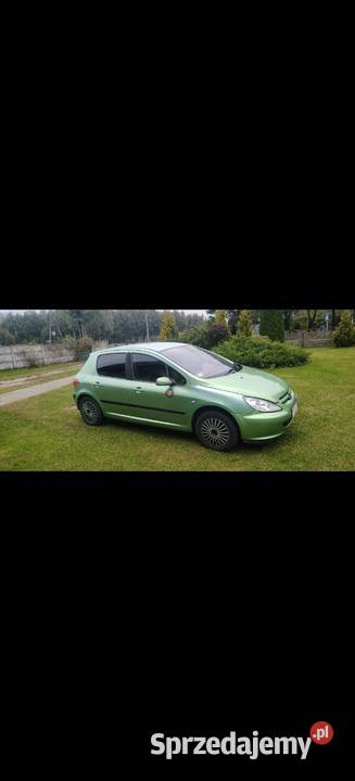 Peugeot 307 Turek
