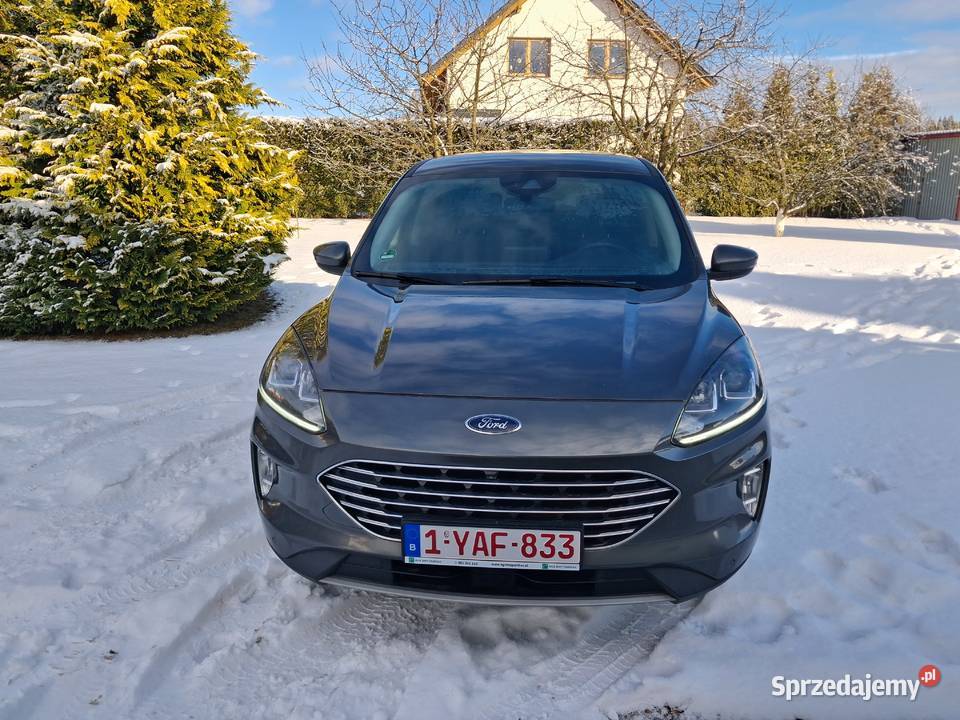 Ford Kuga 2020 15TDI automat bezwypadkowy welurowa tapicerka Chojnice sprzedam