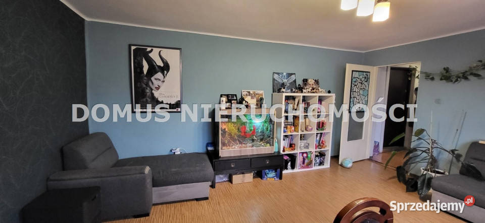 Mieszkanie Piotrków Trybunalski 4167m2