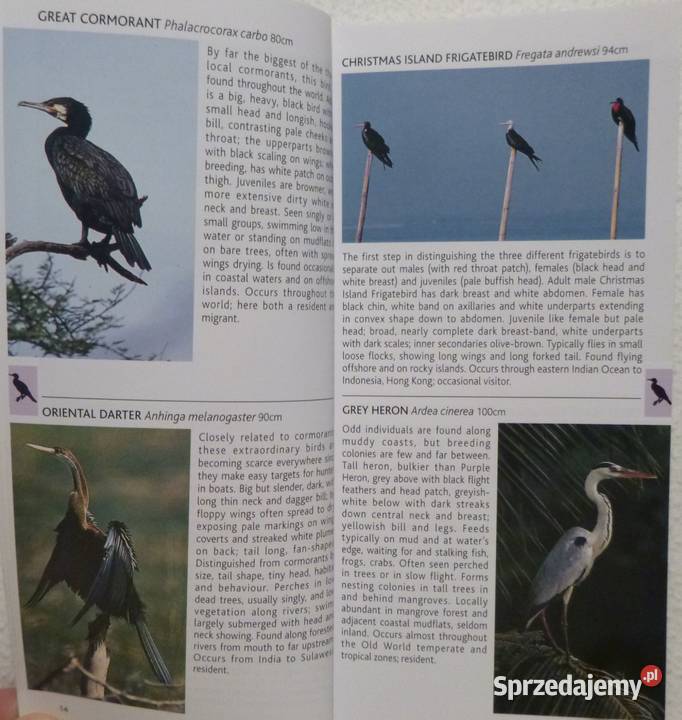 Birds of Borneo Sabah Sarawak Brunei and