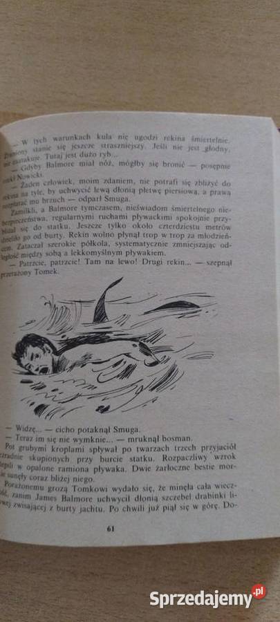 Tomek wśród łowców głów Tom szósty Lublin