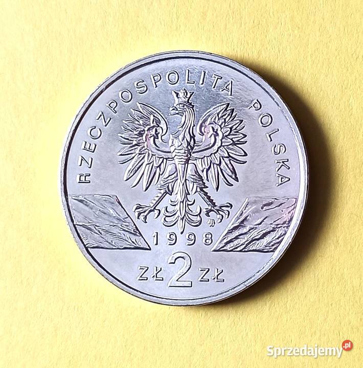 2 1998 r Ropucha Paskówka OKAZJA dolnośląskie Wrocław
