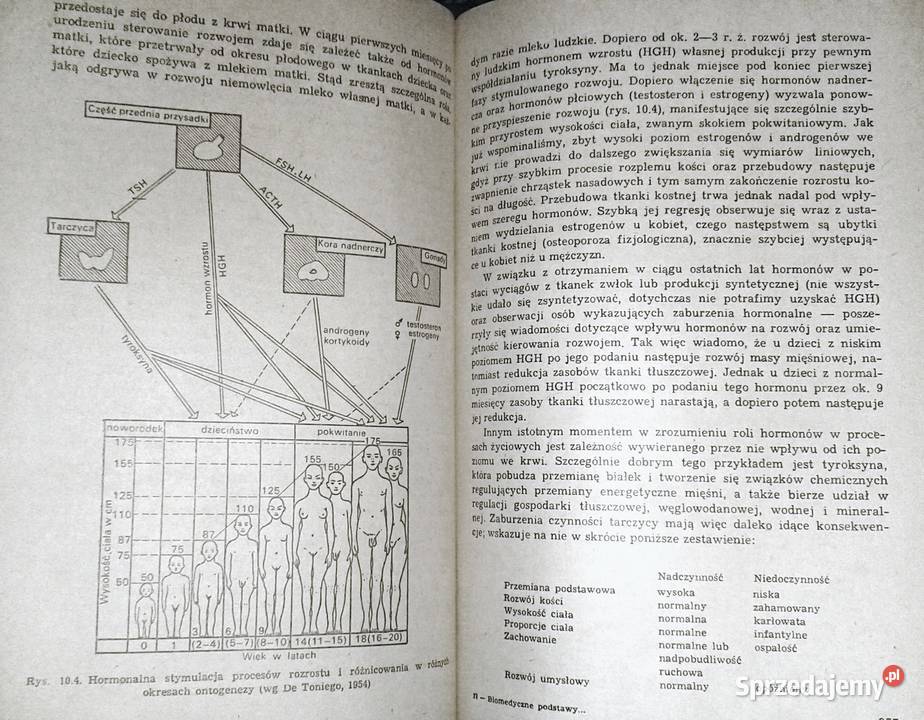 Biomedyczne podstawy rozwoju i wychowania N Chełm