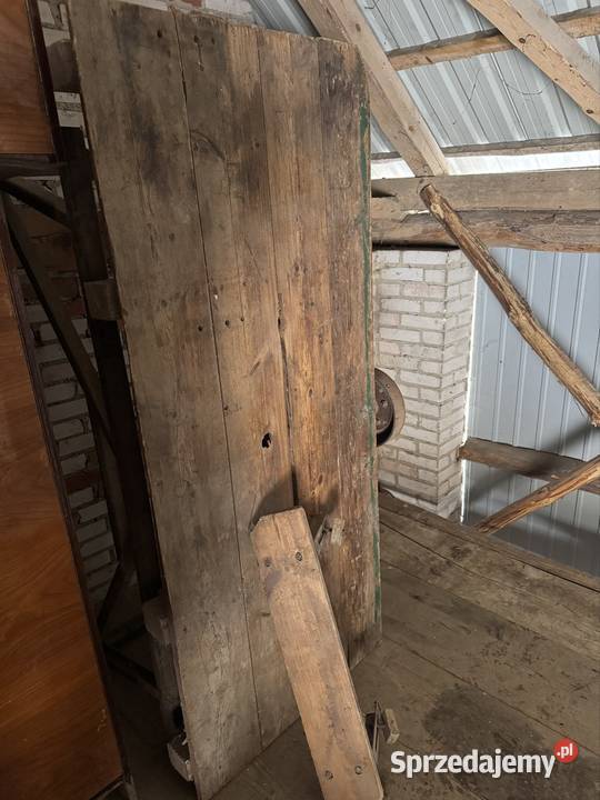 Cerkularka krajzega Frampol