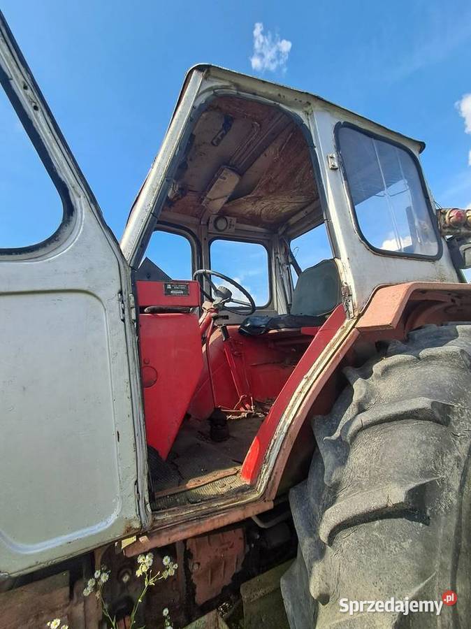 Białoruś jumz Ładowacz czołowy Zielona Góra