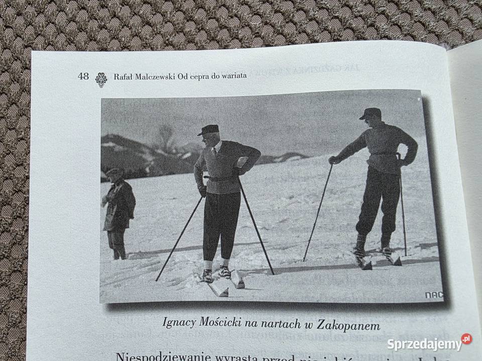cepra do wariata Felietony zakopiańskie Rafał sprzedam